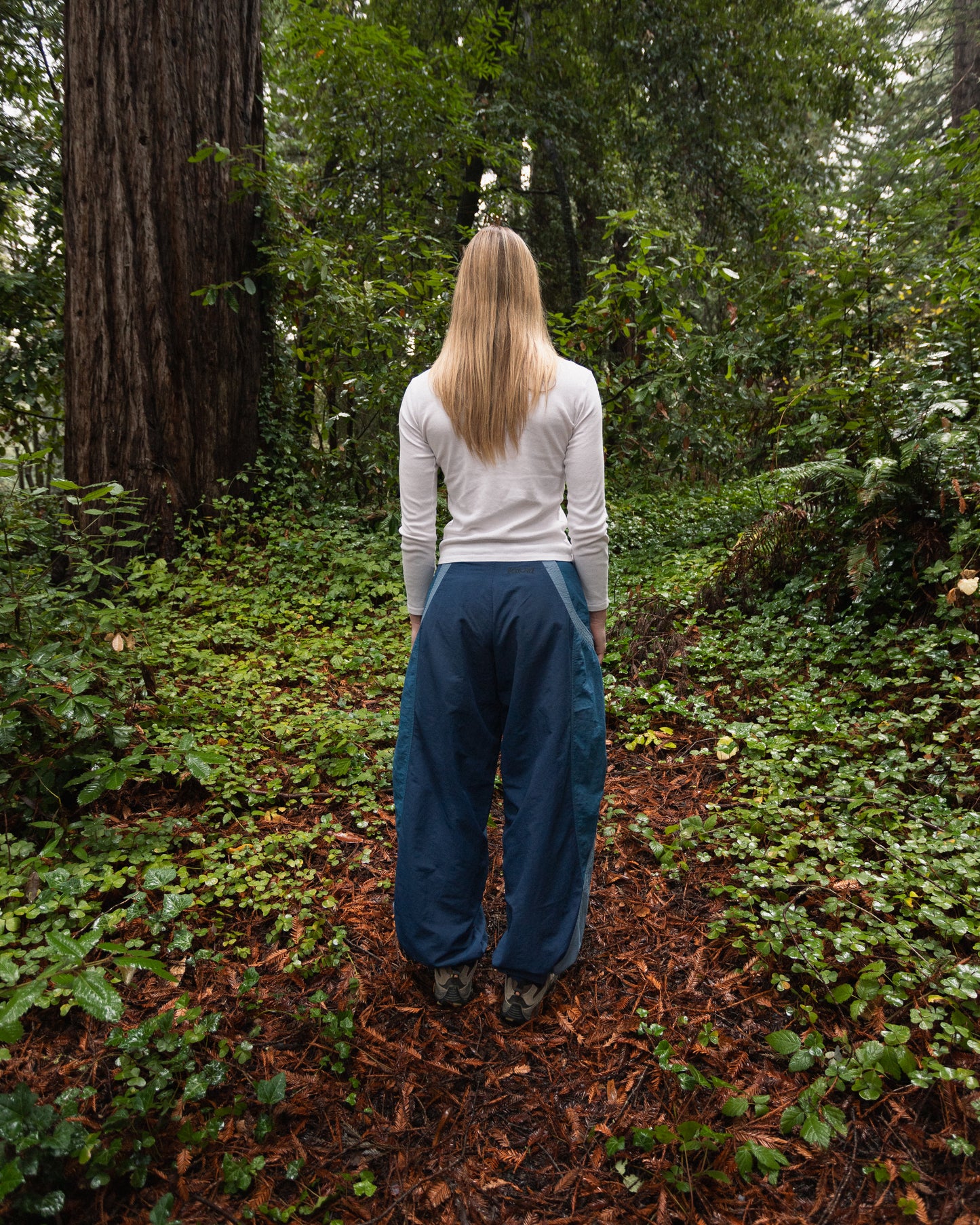Cicada Pants (Blue)