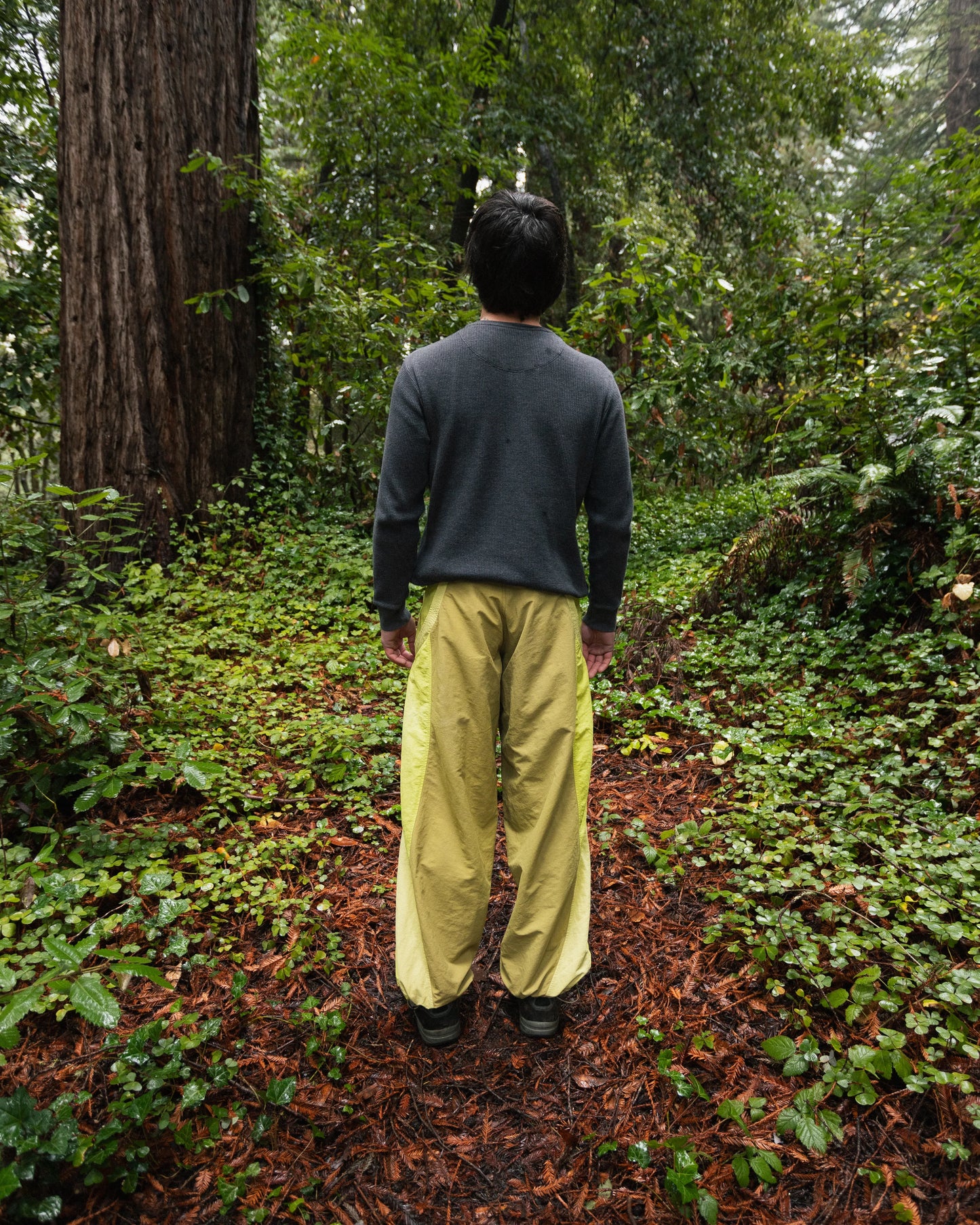 Cicada Pants (Forest) - Kawa Club