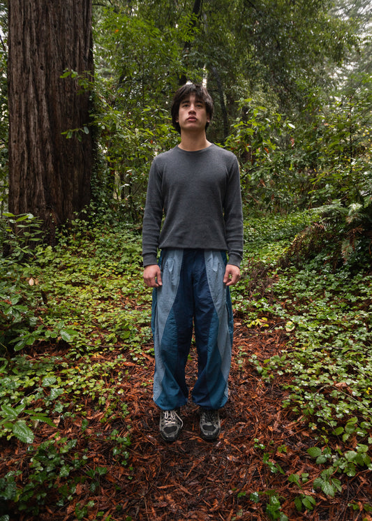 Cicada Pants (Blue)