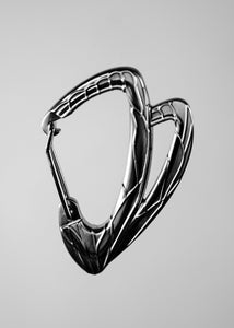 Cicada Carabiner