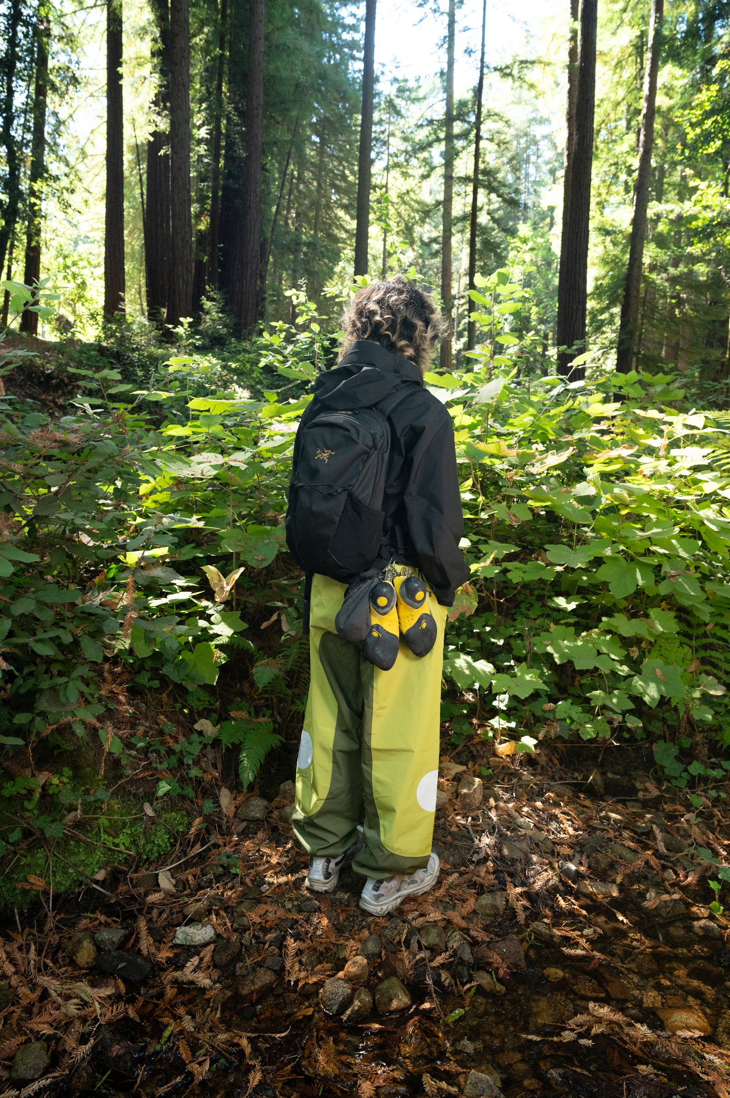 GEN 2 Trekker Shell Pants (Forest)