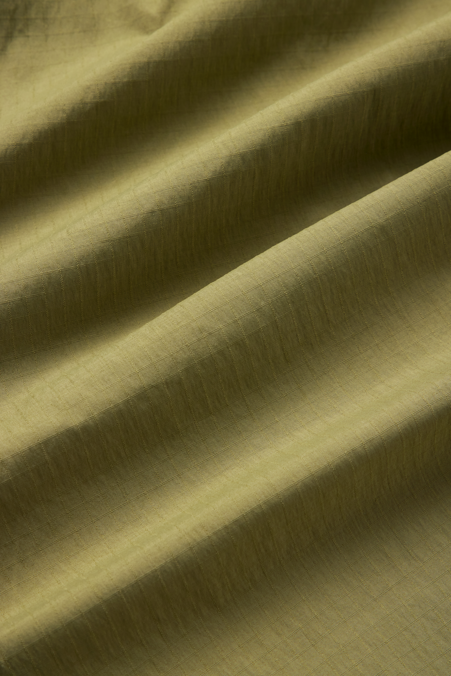 Scarab Shorts (Fern)