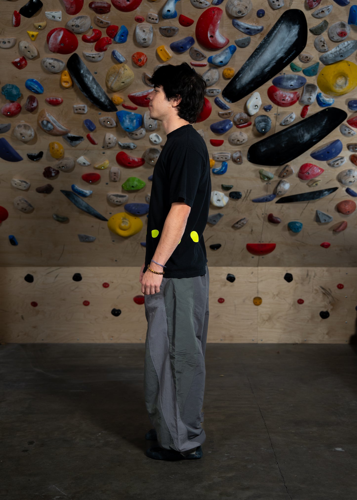 Cicada Pants (Slate)