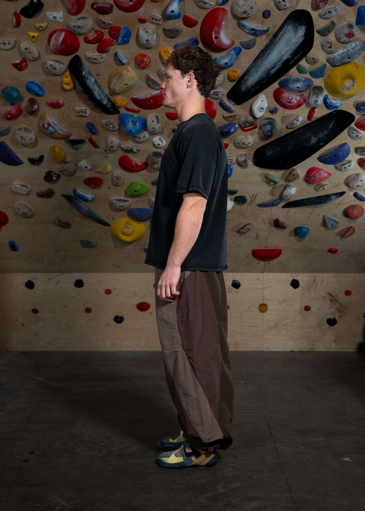 Cicada Pants (Brown)